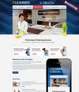 Cleanin web template