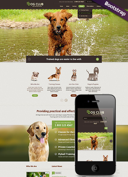 Dog Club web template