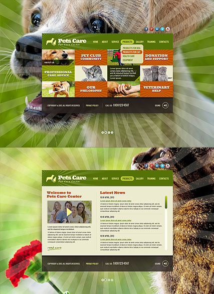 Pet Care Service web template