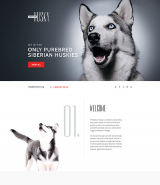 Canine Landing Page Template
