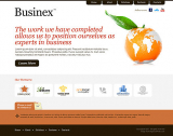 Clean Business web template