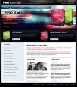Software web template