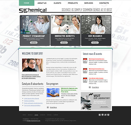 Chemical web template