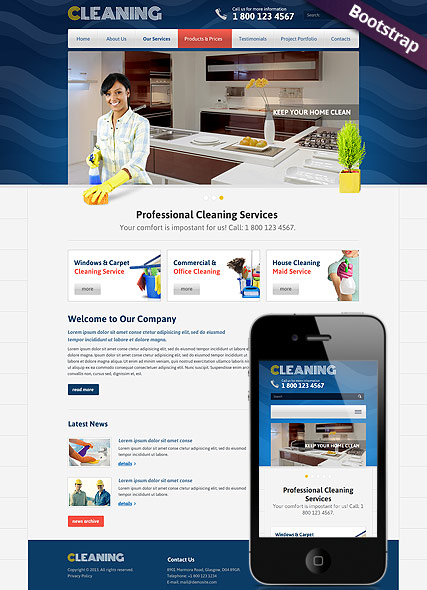 Cleanin web template