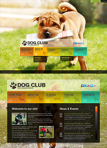 Dog Training web template