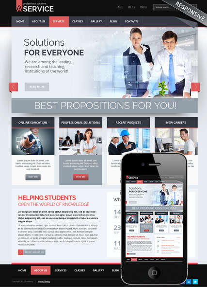 Professional solution v3.0 web template