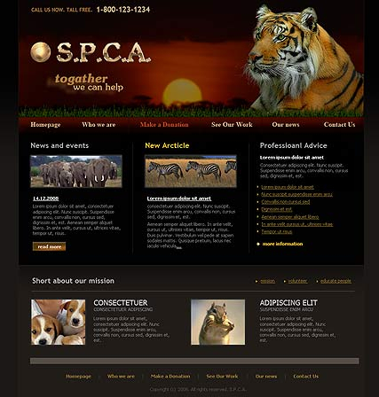 S.P.C.A. web template